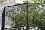 DSC_9183.JPG